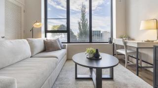 Landing Modern Apartment with Amazing Amenities (ID8478X93) - 8