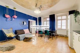 Curiosity apartments - Praga - 9