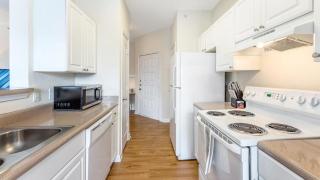 Landing Modern Apartment with Amazing Amenities (ID8999X86) - 9