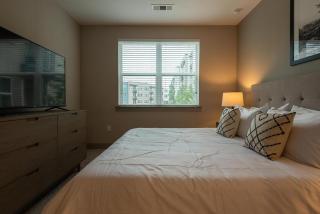 Landing Modern Apartment with Amazing Amenities (ID3691X61) - Austin - 8