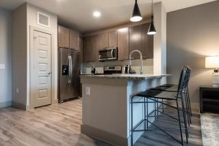 Landing Modern Apartment with Amazing Amenities (ID3691X61) - Austin - 1