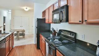 Landing Modern Apartment with Amazing Amenities (ID6918X34) - 9