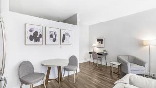 Landing Modern Apartment with Amazing Amenities (ID9499X39) - Tempe - 7