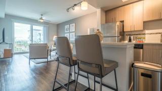 Landing Modern Apartment with Amazing Amenities (ID8563X18) - 8