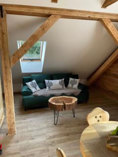 Apartamenty Krysin Zakopane - Zakopane - 1