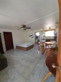 Au paradis des Lapas - Cabuya - 8