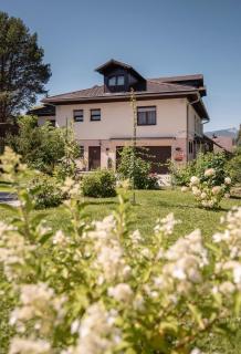 Ferienwohnung Felicitas mit Sauna by Appartementhaus Theresia - Bad Mitterndorf - 0