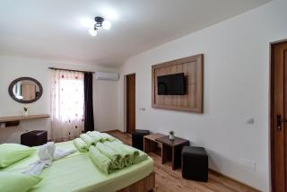 Pensiunea Diadis - 2