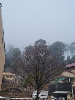 Patriata Luxury Suits - Murree - 9