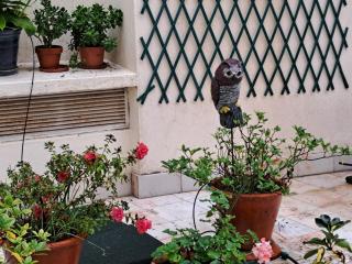 Sunny Green Terrace - Lisbon - 6