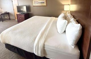 Best Western Plus Kelly Inn - Saint Cloud - 2