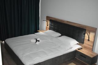 Save Relaxing Residence Brasov - Braşov - 5