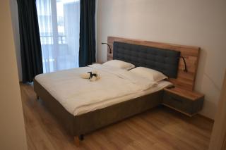 Save Relaxing Residence Brasov - Braşov - 0