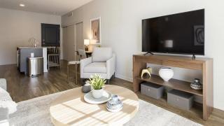 Landing Modern Apartment with Amazing Amenities (ID8664X37) - 7