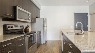 Landing Modern Apartment with Amazing Amenities (ID8664X37) - 3