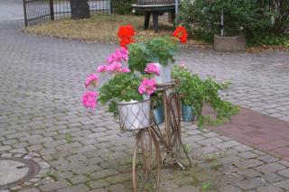 Scharmerhof - Hohenbrunn - 6