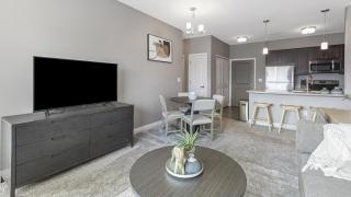 Landing Modern Apartment with Amazing Amenities (ID7281X99) - 0