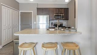 Landing Modern Apartment with Amazing Amenities (ID7281X99) - 8