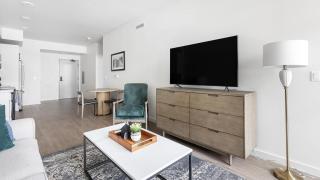 Landing Modern Apartment with Amazing Amenities (ID9717X89) - 3