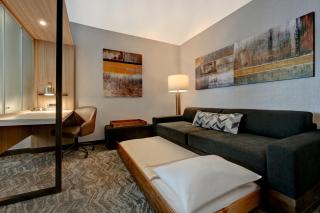 SpringHill Suites by Marriott Albuquerque University Area - Albuquerque - 6