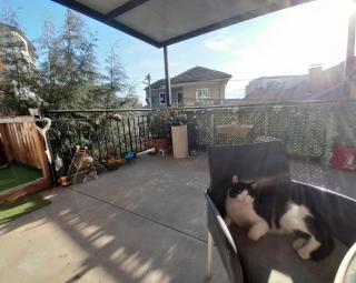 Adem's Cozy Terrace Retreat - Skopje - 9