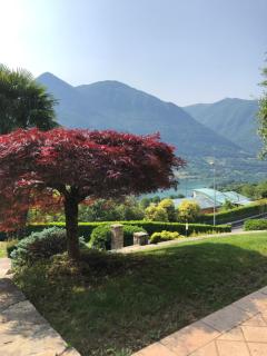 VILLA COLLE - Ranzanico - 1
