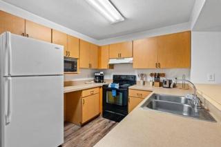 2 MI to USF Student Housing 24h Gym - Tampa - 4