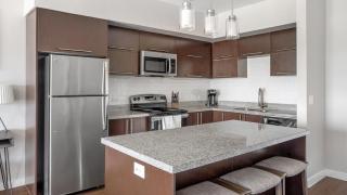 Landing Modern Apartment with Amazing Amenities (ID1254X737) - 5