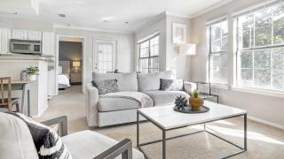 Landing Modern Apartment with Amazing Amenities (ID3802X2) - Atlanta - 4
