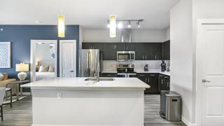 Landing Modern Apartment with Amazing Amenities (ID3972X98) - 9