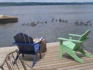 Lakeside Home w/Sunset View, 6 Kayaks &Peddleboat - Lodi - 4