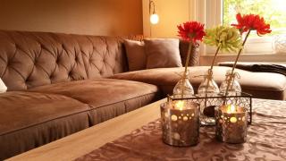 Ole's BergSuite - Braunlage - 0