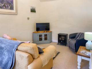 Swallows - Uk41742 - Mayfield - 5
