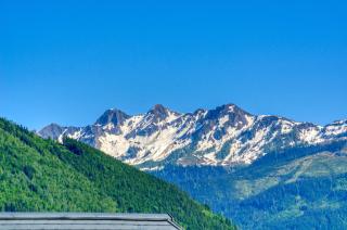 Apartment Melanie - by Alpen Apartments - Zell am See - 3