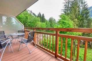 Apartment Dunn - by Alpen Apartments - Bad Gastein - 4
