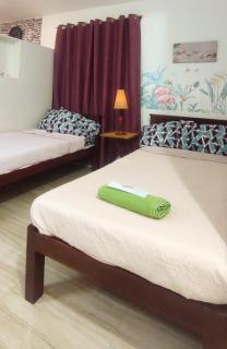 Island in Lapu-lapu, cozy, peaceful, Olango island - 5