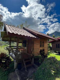 Angha forest view บ้านกลางนา - - 0