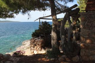 Apartments by the sea Zavala, Hvar - 8809 - 3