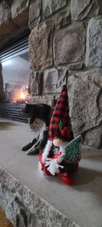 Luxury getaway in woods, Jacuzzi, Hot Tub, Pool - Bushkill - 5