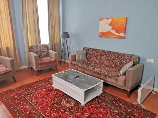 Bereket villa and aparts - 8