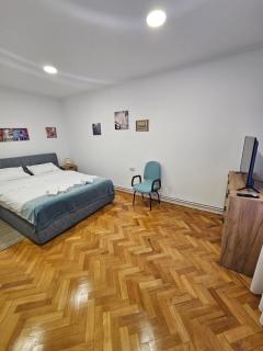 Central Free parking, 2 king size bedrooms - Oradea - 8