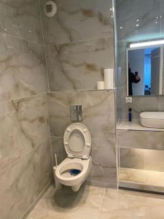 Apparemment colombes - Colombes - 6