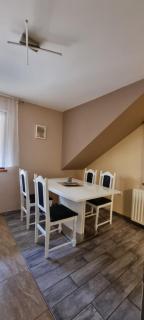 Apartmaji Medved, brezplačno parkiranje - Tacen - 4
