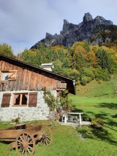 Chalet la corne du chamois - Sixt - 8
