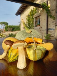 b&b cascina la cinciallegra - Oggiono - 3