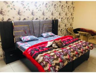 Himalayan Hotel Solan, Himachal Pradesh - Solan - 8