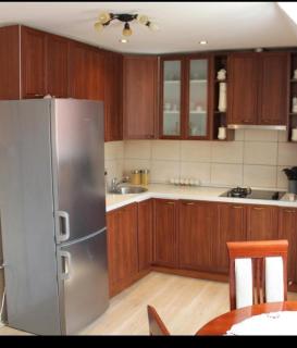 Apartment Home Popovic - Žabljak - 9
