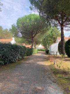 Maisonnette au calme prôche forêt et bord de mer - 6