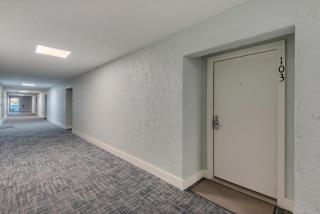 Sand Dollar W-103 - 5