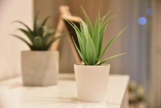 Tiny Treasure Apartment - Atene - 4